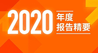 PG电子·麻将胡了官方网站新材2020年度报告精要