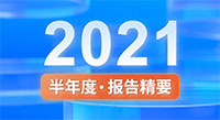 一图看懂PG电子·麻将胡了官方网站新材2021半年度报告